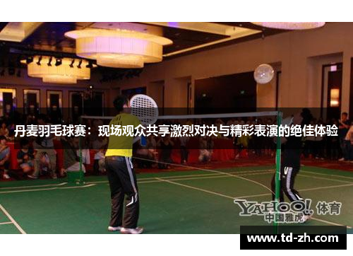丹麦羽毛球赛：现场观众共享激烈对决与精彩表演的绝佳体验