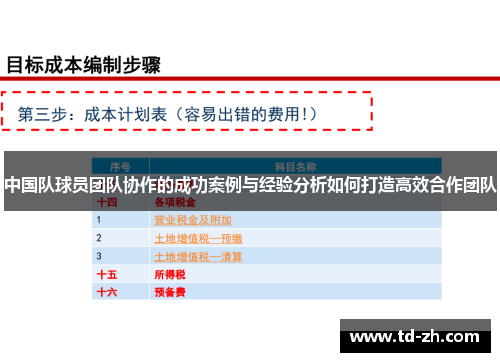 中国队球员团队协作的成功案例与经验分析如何打造高效合作团队