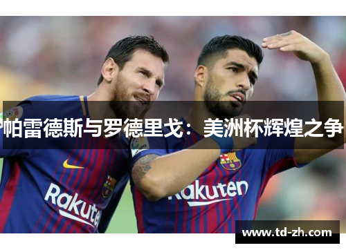 帕雷德斯与罗德里戈：美洲杯辉煌之争