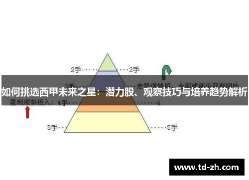 如何挑选西甲未来之星：潜力股、观察技巧与培养趋势解析