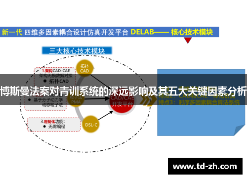 博斯曼法案对青训系统的深远影响及其五大关键因素分析