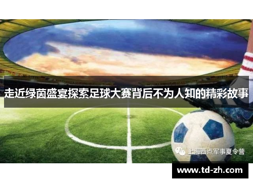 走近绿茵盛宴探索足球大赛背后不为人知的精彩故事 走近绿茵盛宴探索足球大赛背后不为人知的精彩故事